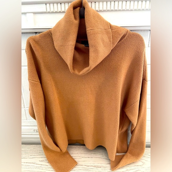 NEVER WORN Lumiere brand (purchased through VICI) cowl neck sweater - Picture 2 of 2